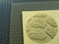 Набоечная пластина Caster Penta