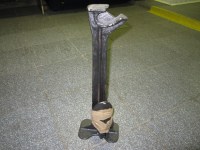 Лапа сапожная