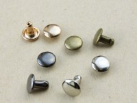 Хольнитены